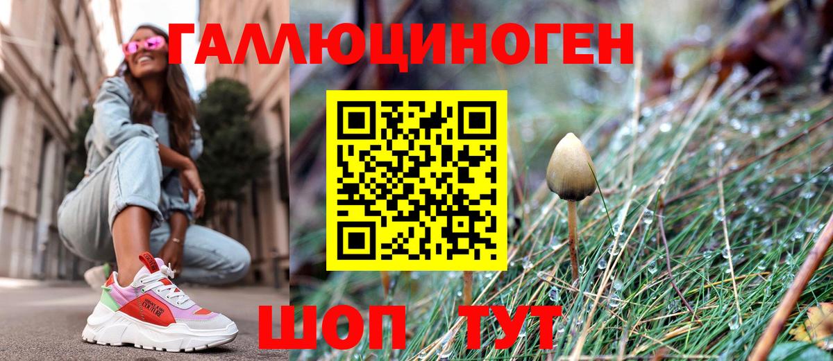 Галлюциногенные грибы Cubensis Электрогорск
